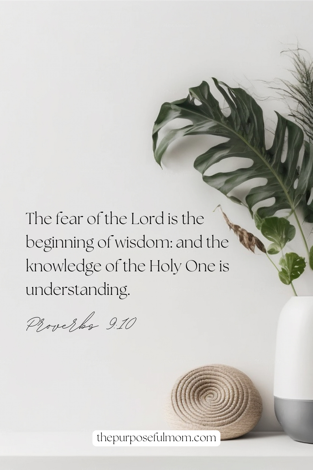 Bible For College Students