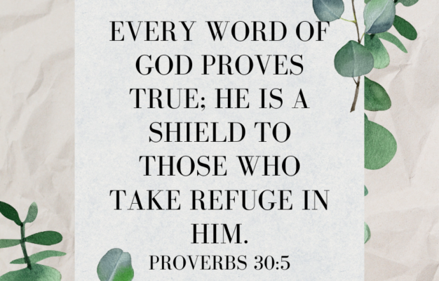 45 Encouraging Bible Verses For College Students The Purposeful Mom