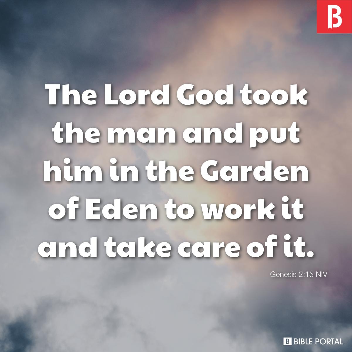Bible Quotes On The Environment
