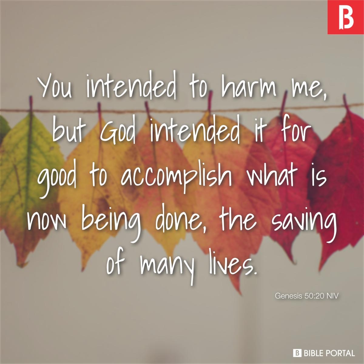 48 Bible Verses About Hurting Others