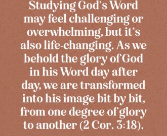 5 Bible Study Tips For Beginners Well Watered Women