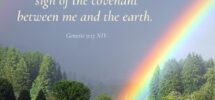 5 Bible Verses About Rainbows