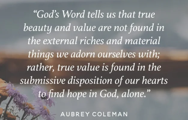 5 Lies Of The Materialism Idol The Daily Grace Co