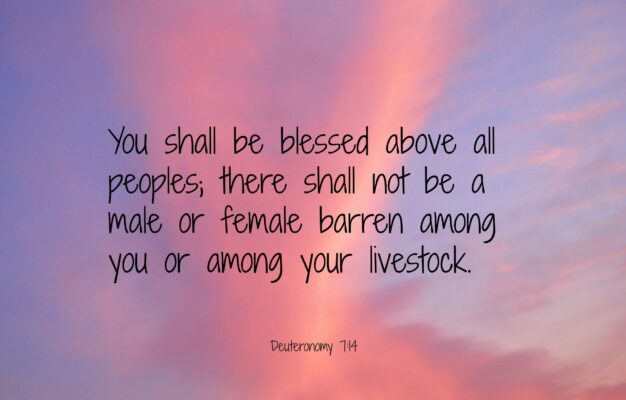 5 MORE Bible Verses Every Infertile Woman Needs To Know Evangeline Colbert