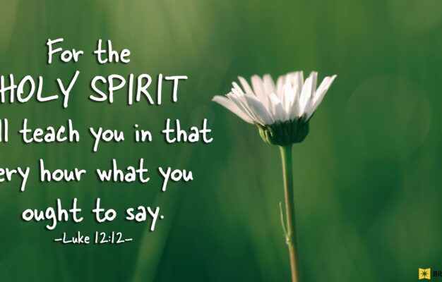 5 Motivation Bible Verses For Each Day Bible Study Tools