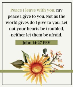 5 Powerful Bible Verses About Trials And Struggles Healing Home