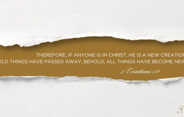 5 Things The Bible Says About New Life Blog