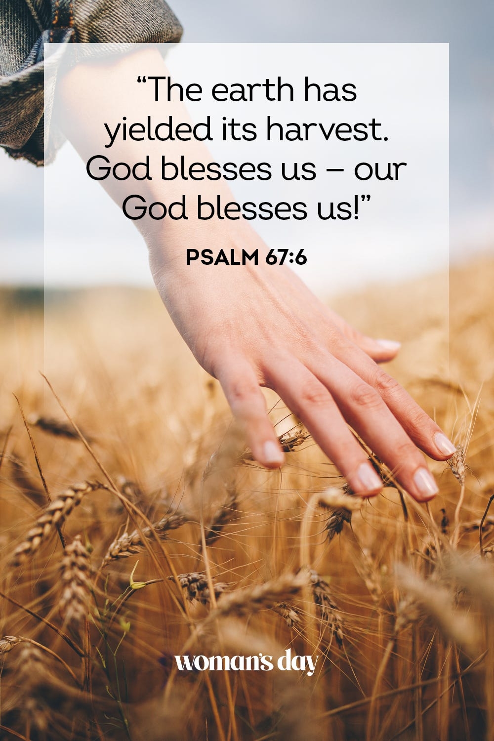 Harvest Bible Quotes