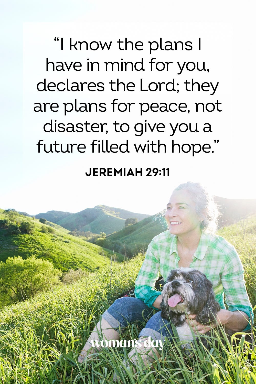50 Bible Verses About Peace Quotes And Scriptures On Peace