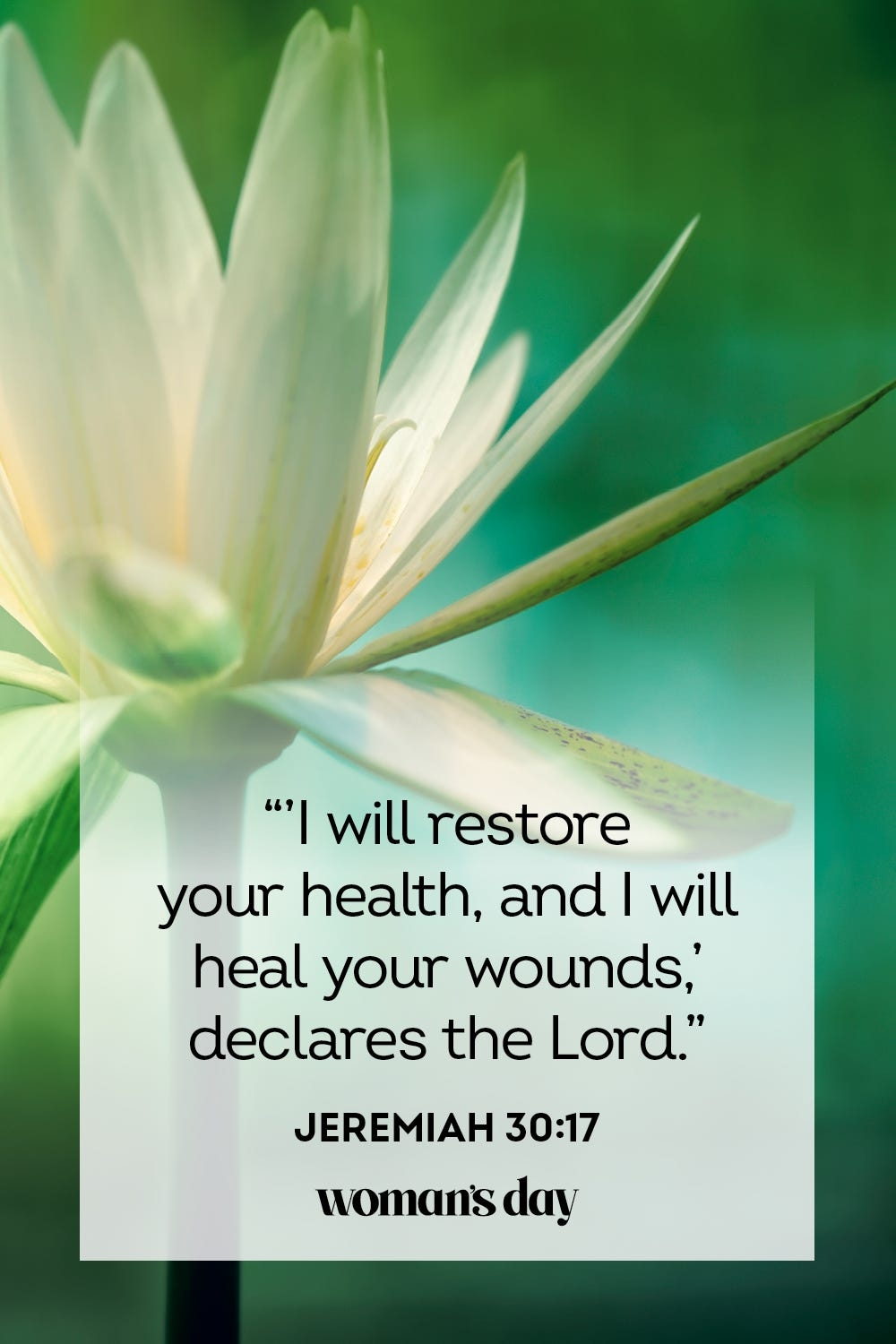 50 Bible Verses For Healing Powerful Healing Scriptures