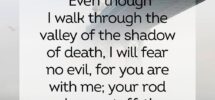 50 Comforting Bible Verses Bible Verses For Comfort In Hard Times