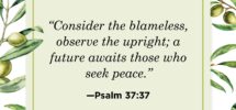 50 Short Bible Verses About Peace