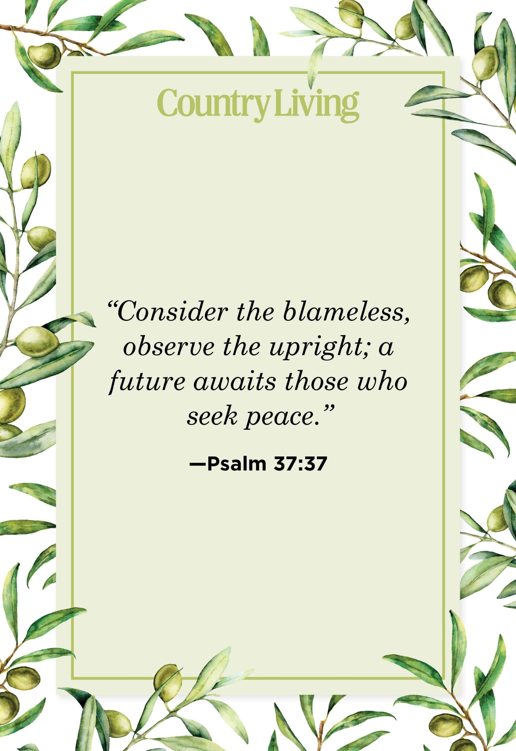 Quick Bible Quotes