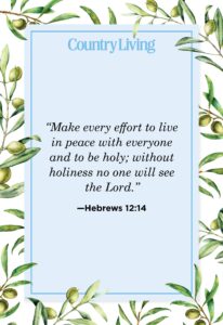 50 Short Bible Verses About Peace
