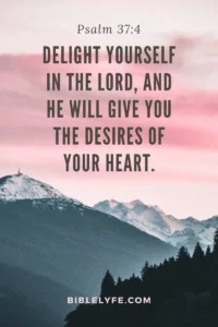 51 Amazing Bible Verses About God s Plan Bible Lyfe