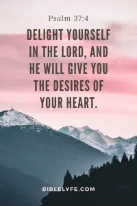 51 Amazing Bible Verses About God s Plan Bible Lyfe