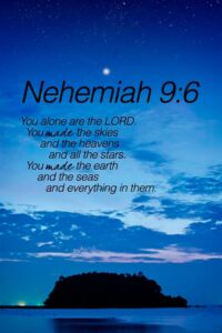 51 Nehemiah Ideas Nehemiah Joy Of The Lord Bible Verses