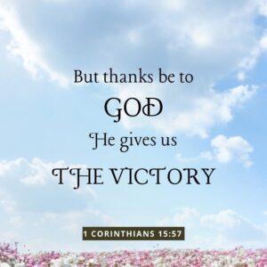 51 Powerful Thanksgiving Bible Verses To Inspire Gratitude REACHRIGHT