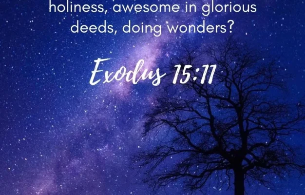 52 Bible Verses About Holiness Bible Lyfe