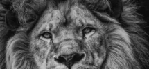 52 Bible Verses For Men SAMUELDEUTH COM
