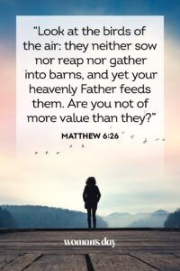 55 Bible Verses About Trust Religious Verses About Trust