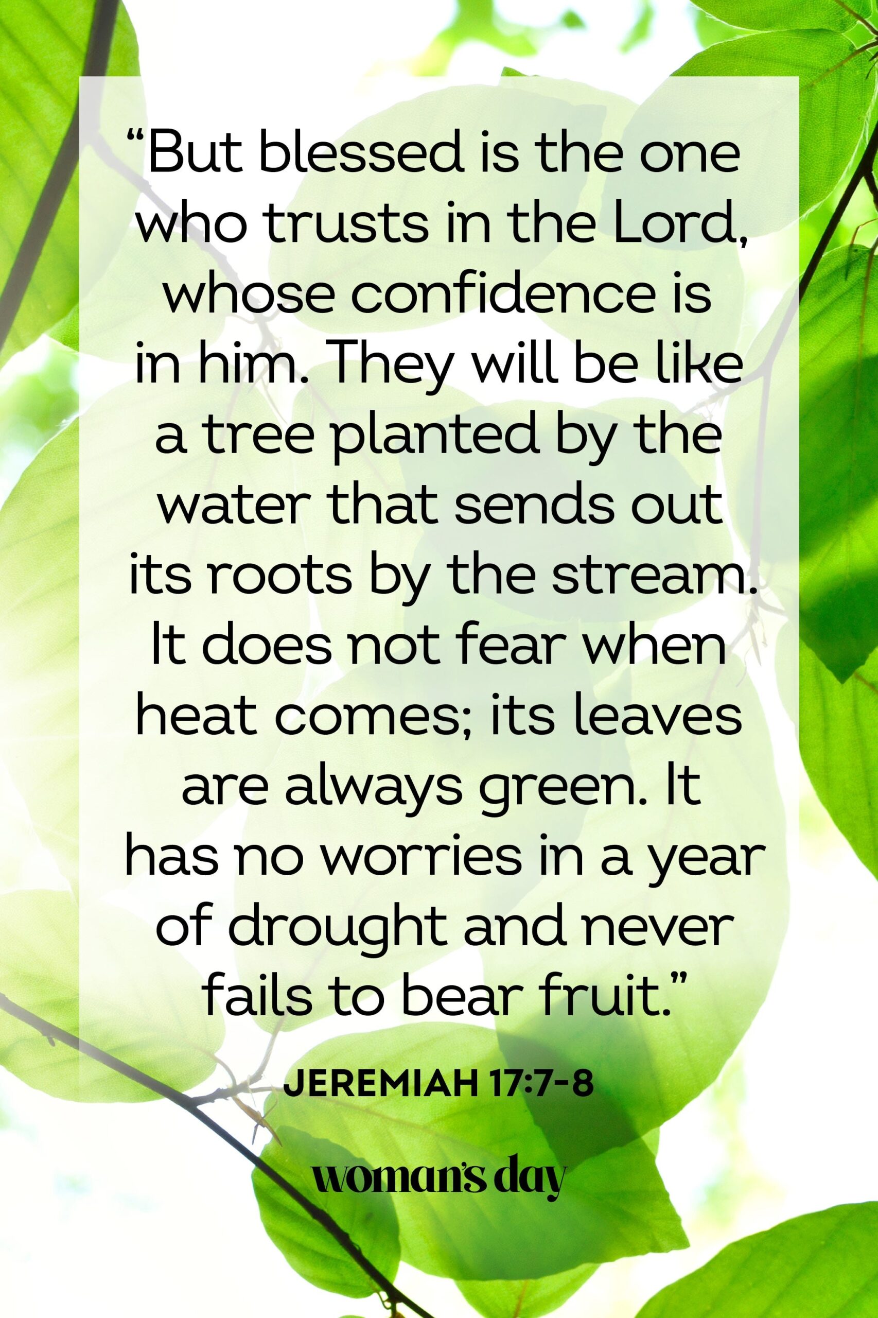 55 Bible Verses About Trust Religious Verses About Trust