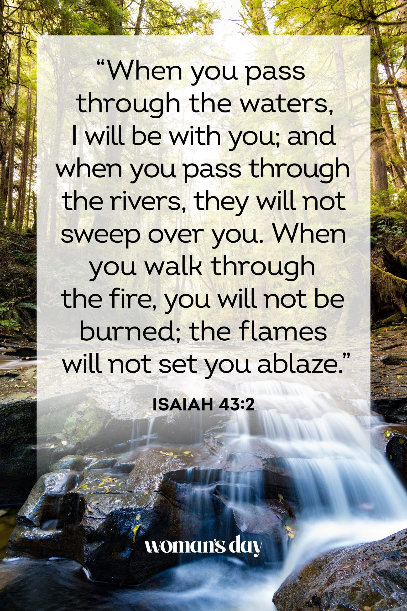 Bible Quotes About Trust In Relationships