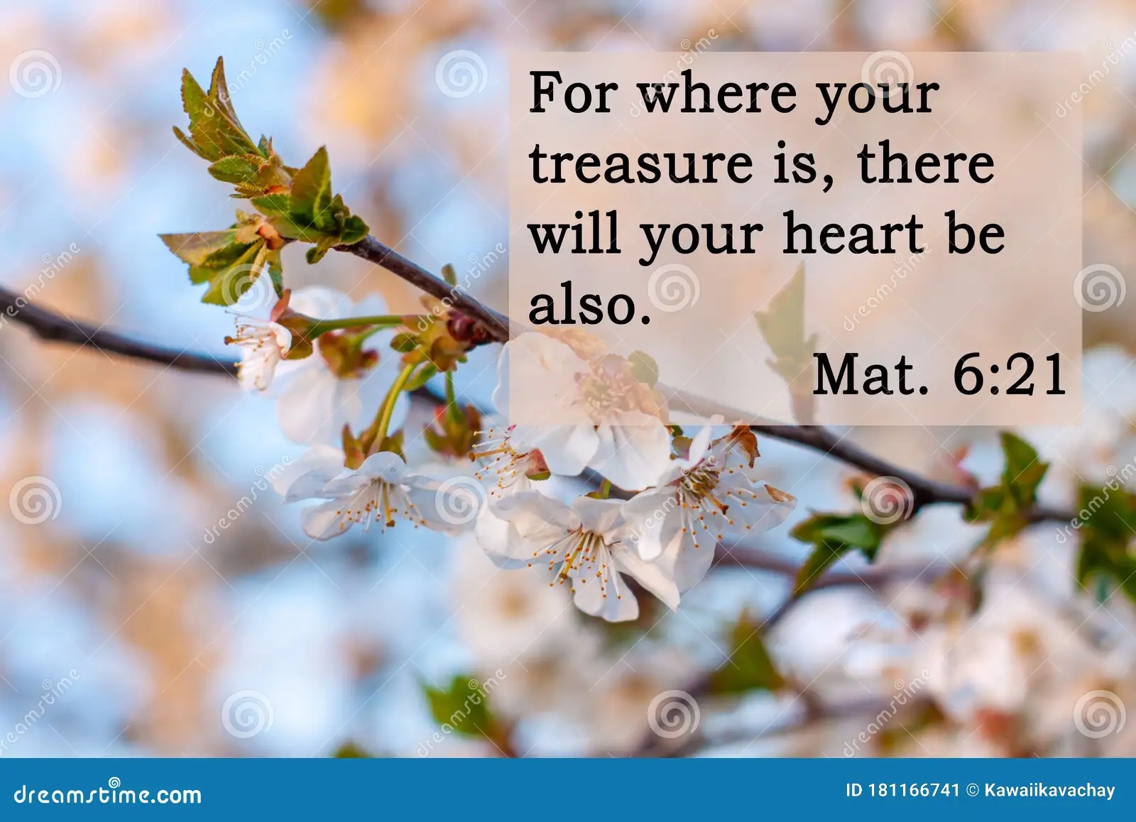 563 Bible Quotes Stock Photos Free Royalty Free Stock Photos From Dreamstime