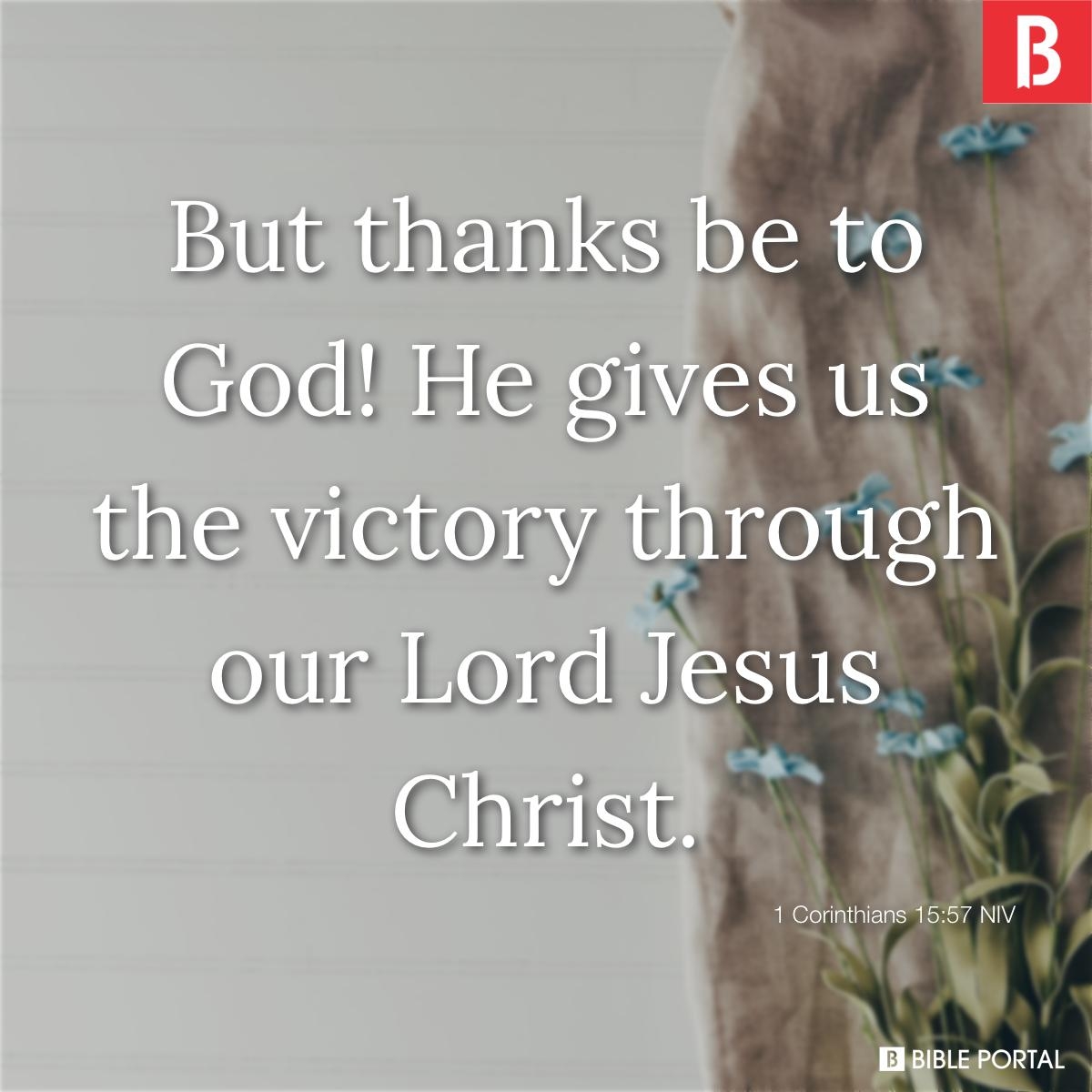 57 Bible Verses About Winning