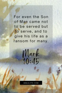 57 Bible Verses On Salvation Bible Lyfe