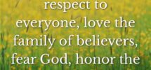 58 Bible Verses About Respecting Others