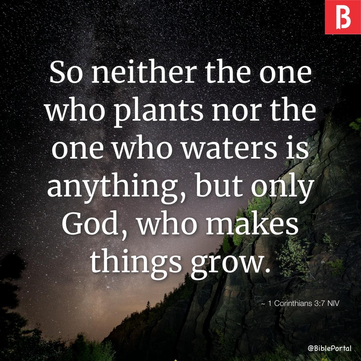 61 Bible Verses About Plants