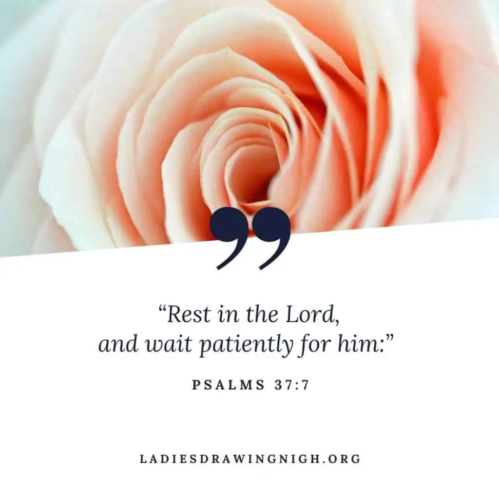 Bible Quotes About Patience And Understanding