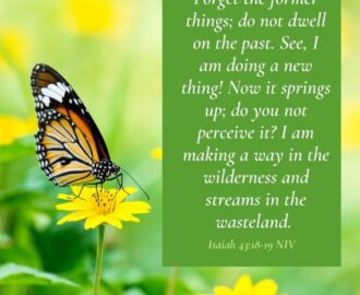7 Bible Verses About Butterflies