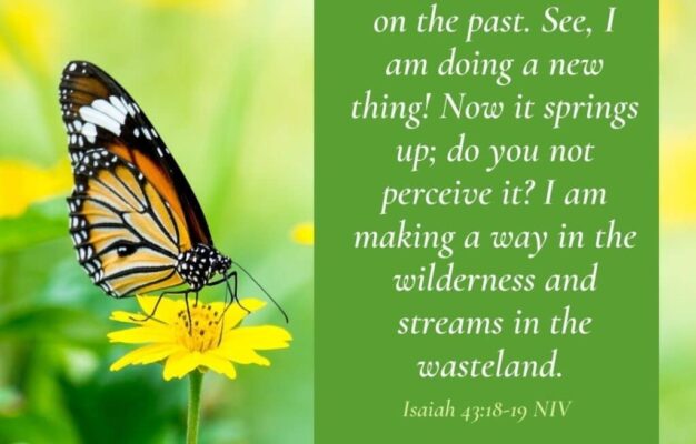 7 Bible Verses About Butterflies