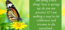7 Bible Verses About Butterflies