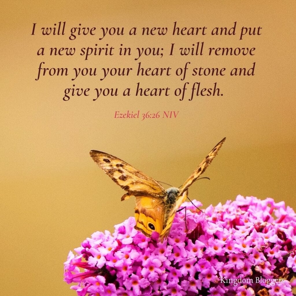 7 Bible Verses About Butterflies