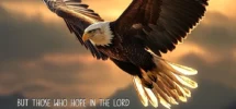 7 Bible Verses To Help You Be Still And Trust God Christ Follower Life