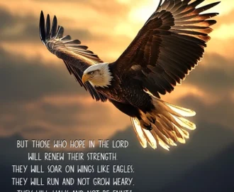 7 Bible Verses To Help You Be Still And Trust God Christ Follower Life