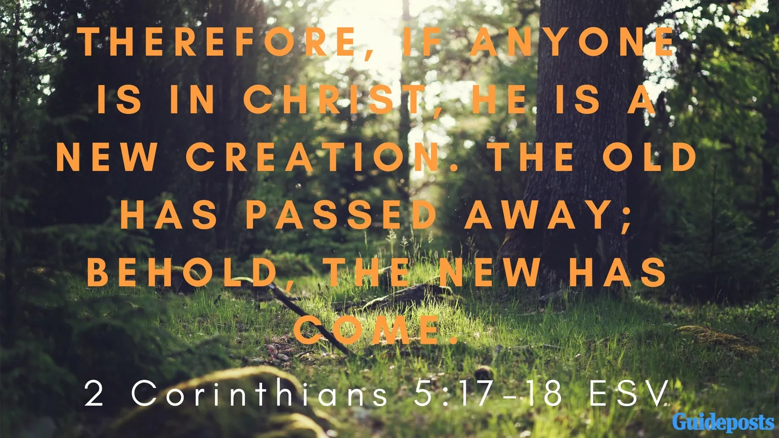 7 Bible Verses To Help You Forgive Yourself Guideposts