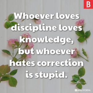 75 Bible Verses About Stupidity