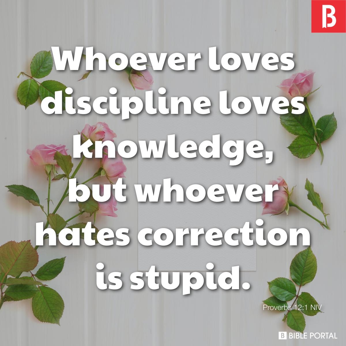 75 Bible Verses About Stupidity