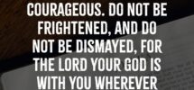 77 Biblical Quotes On Life Love And Faith Bright Drops