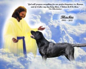 8 About Pets Ideas Pets Dog Quotes I Love Dogs