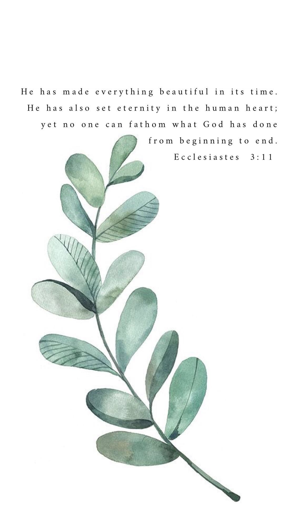 8 Scripture Quotes Ideas Scripture Quotes Bible Verses Quotes Bible Quotes