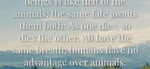 85 Bible Verses About Animal Cruelty
