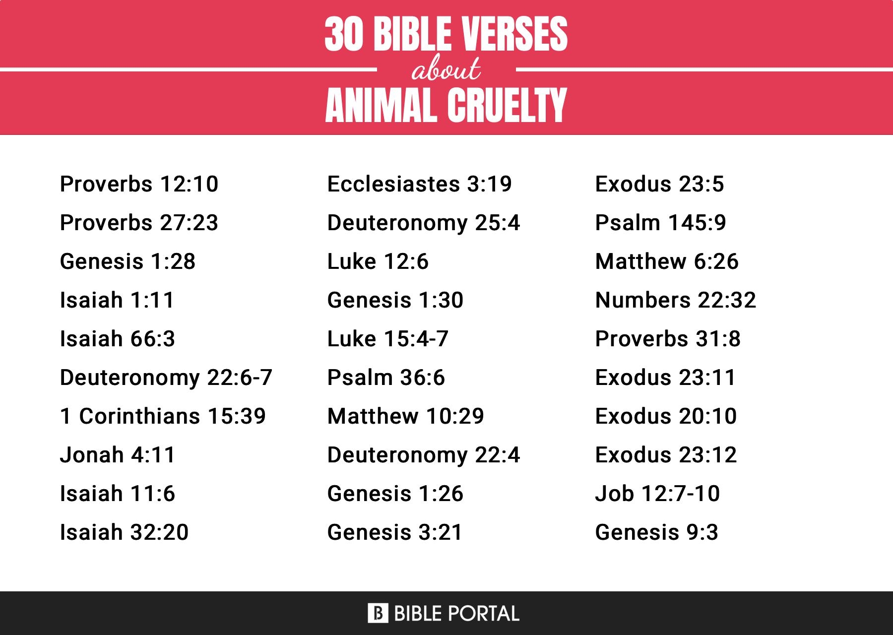 Bible Quotes About Animals Cruelty