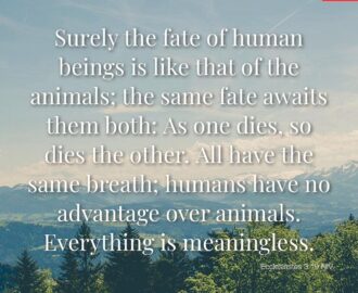 85 Bible Verses About Animal Cruelty