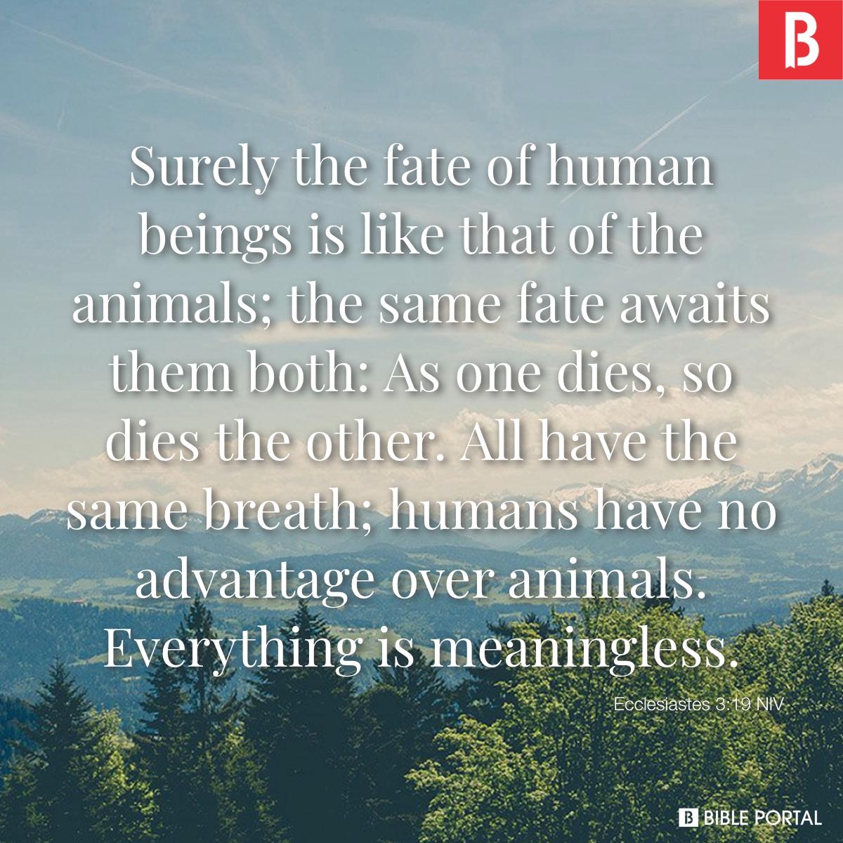 85 Bible Verses About Animal Cruelty