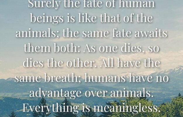 85 Bible Verses About Animal Cruelty